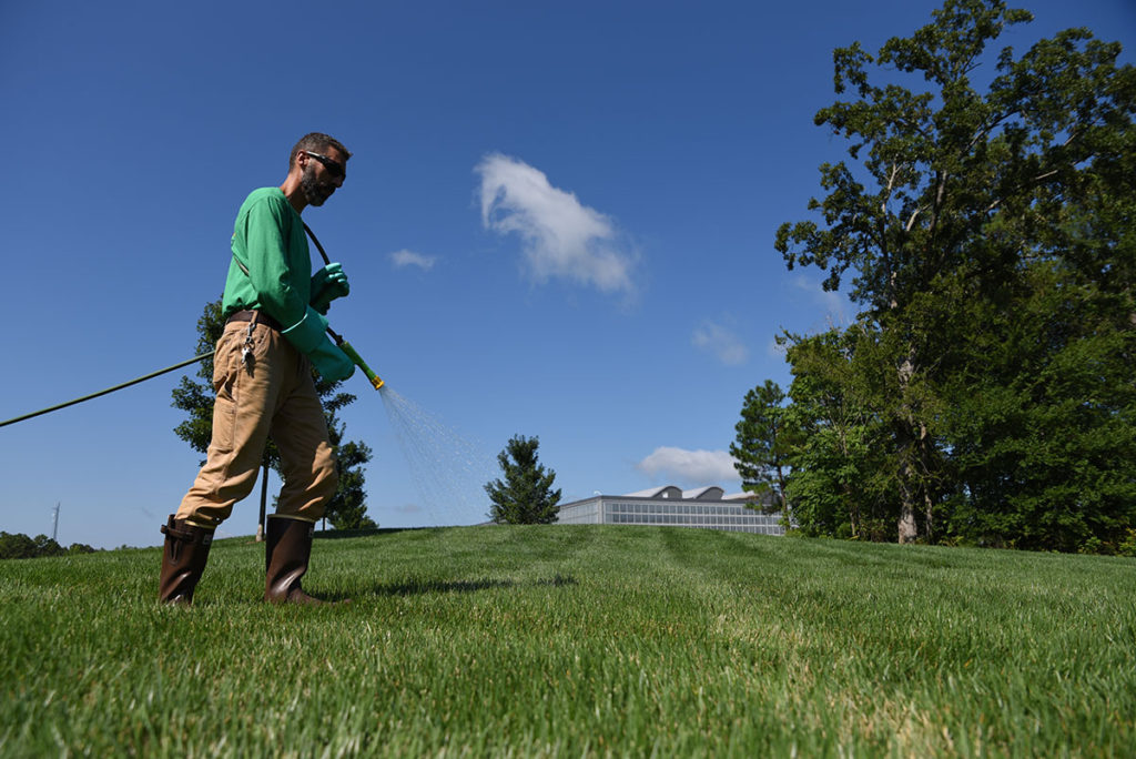 lawn weed control in raleigh nc