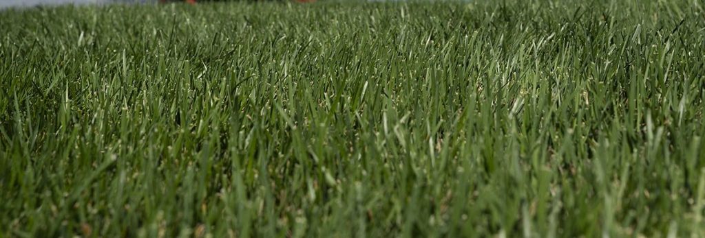 commercial lawn care services in North Carolina