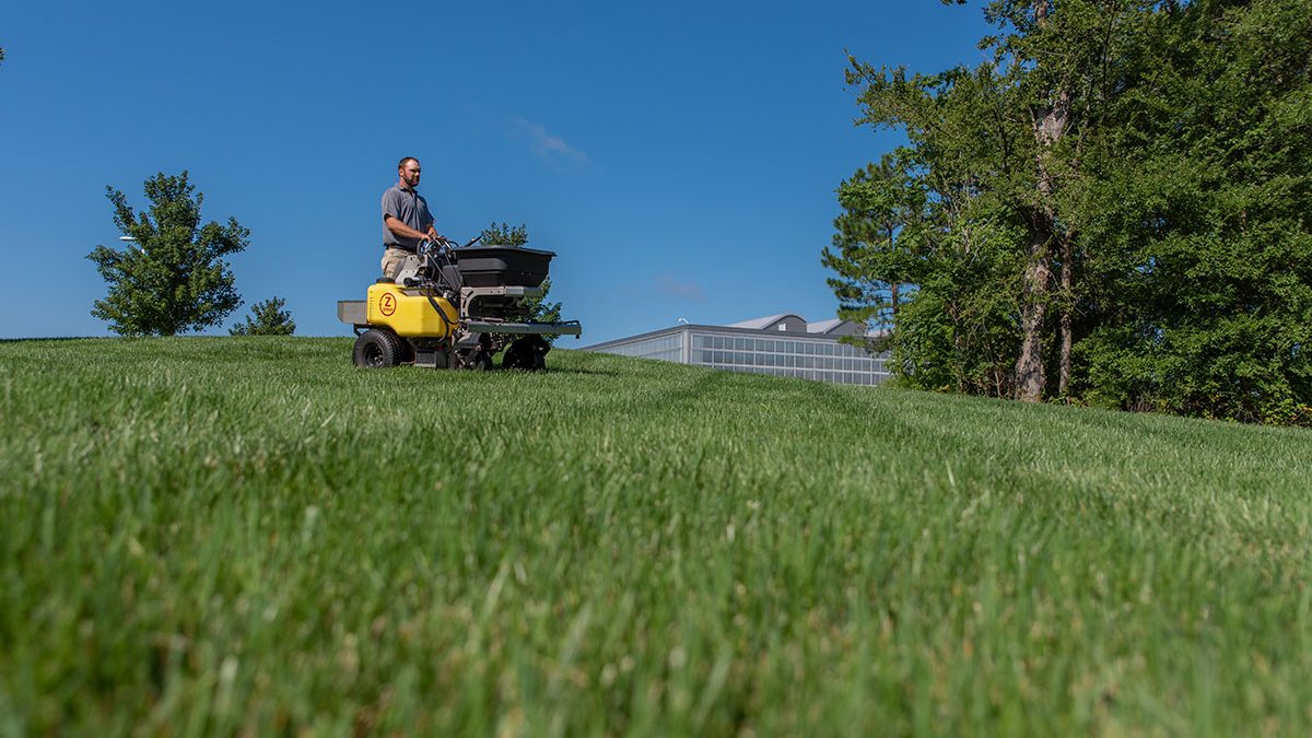fungicide lawn treatment raleigh nc